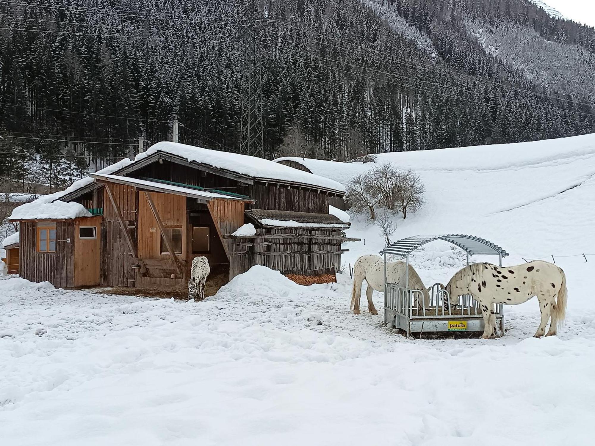 Villa Burgerhof Pettneu am Arlberg Esterno foto